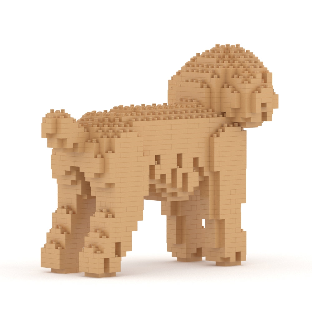 Caniche nain 01-M03