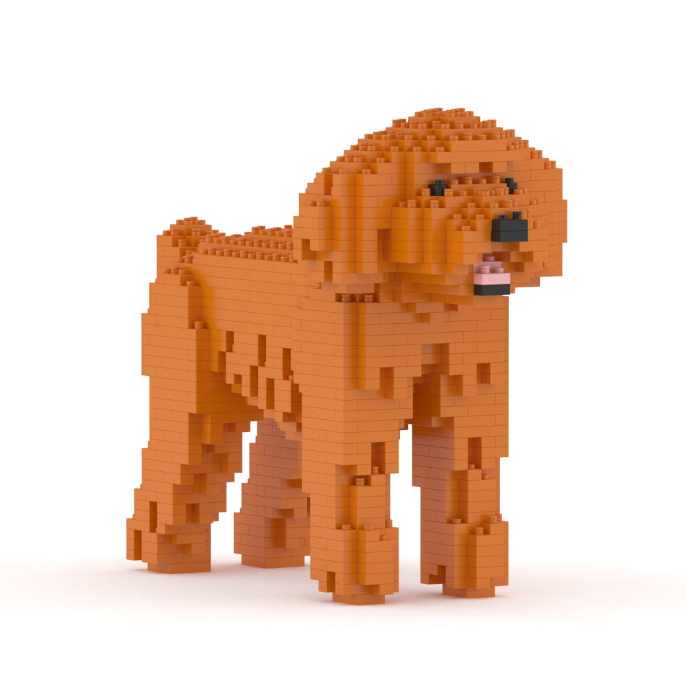 Caniche de juguete 01-M04