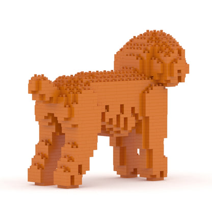 Caniche de juguete 01-M04