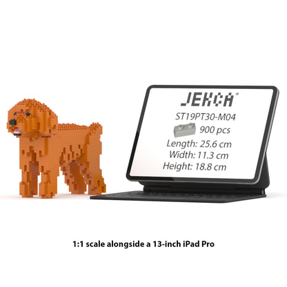Caniche de juguete 01-M04