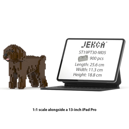 Caniche Toy 01-M05