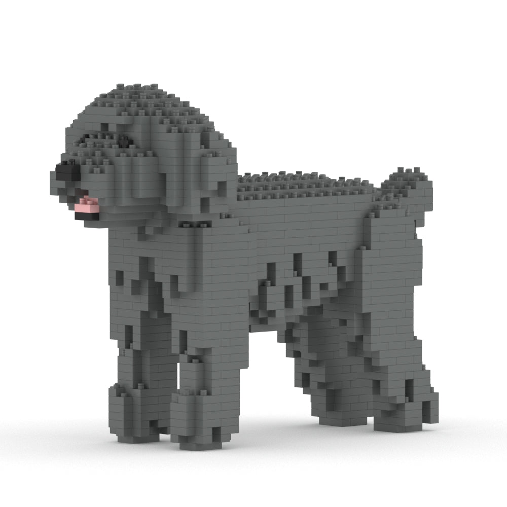 Caniche Nain 01-M06