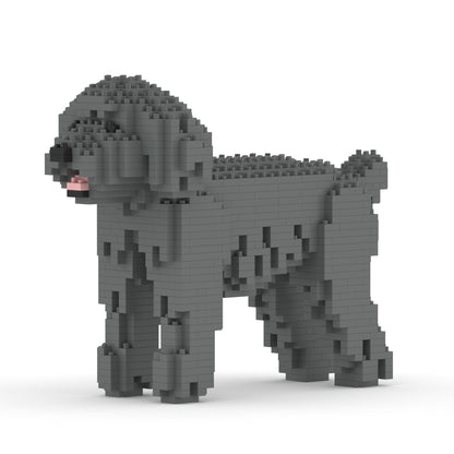 Caniche Nain 01-M06