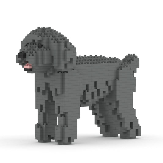 Toy Poodle 01-M06