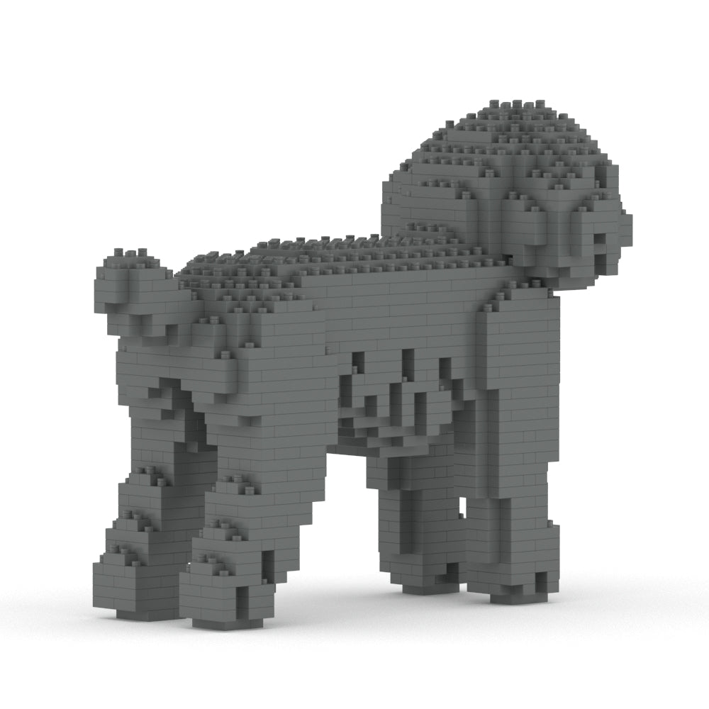 Caniche Nain 01-M06