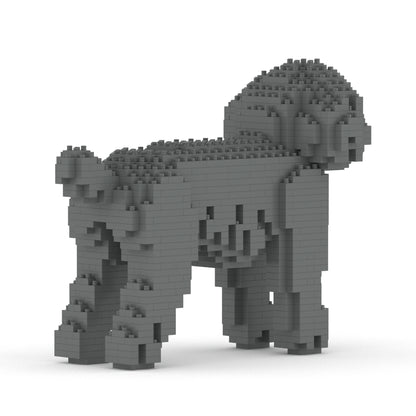 Caniche Nain 01-M06