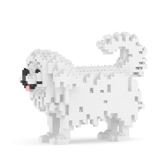 Pekingese 01