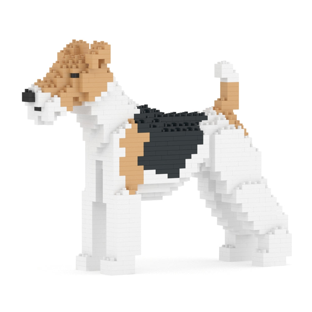 Fox Terrier de Pelo Duro 01