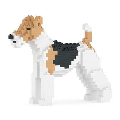 Fox Terrier de Pelo Duro 01