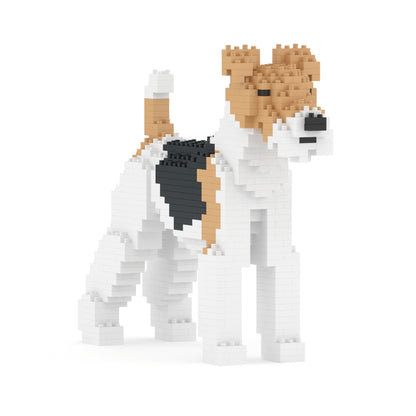 Fox Terrier de Pelo Duro 01
