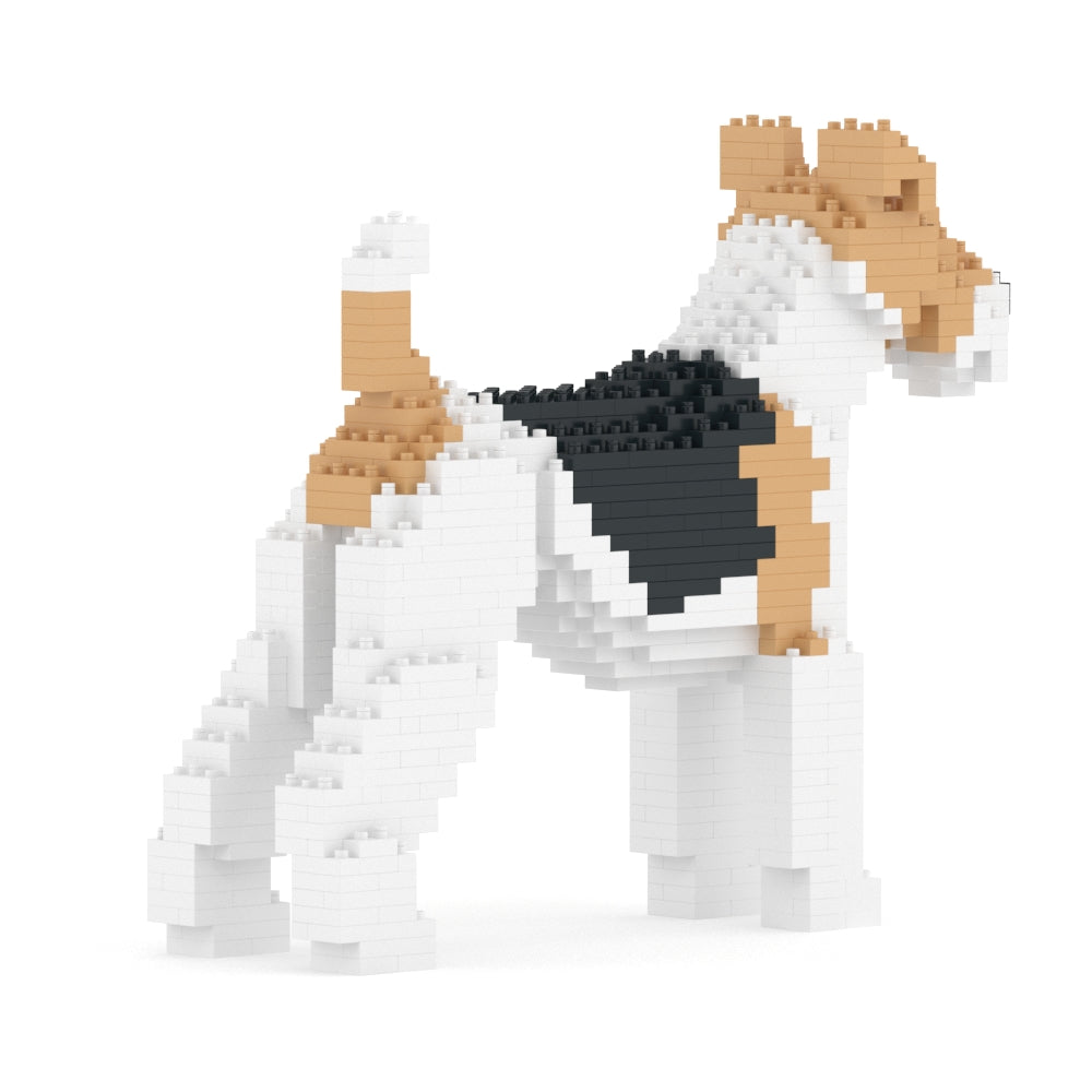Fox Terrier de Pelo Duro 01