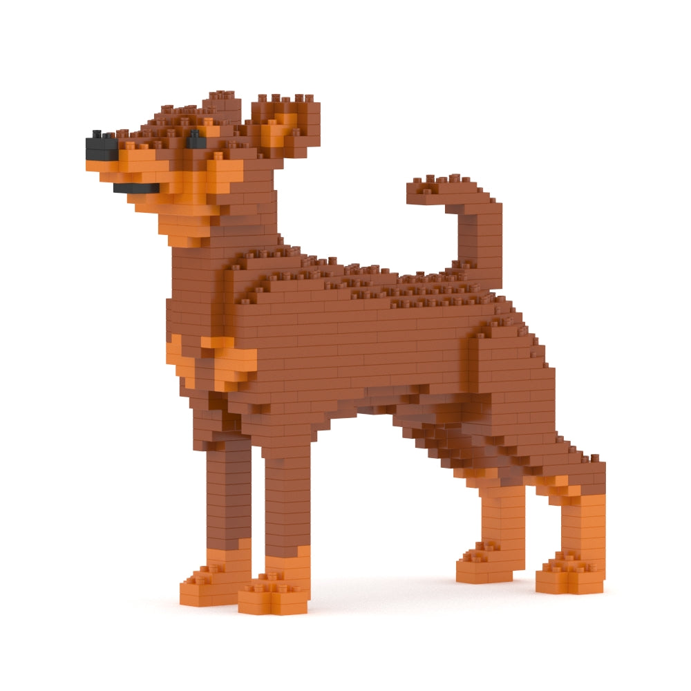 Pinscher miniatura 01-M02