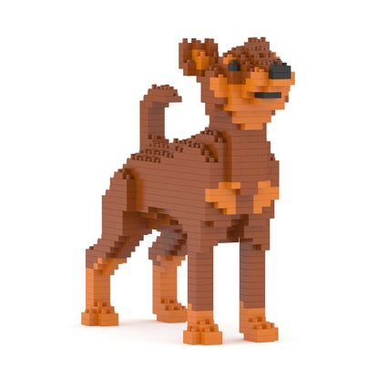 Pinscher miniatura 01-M02
