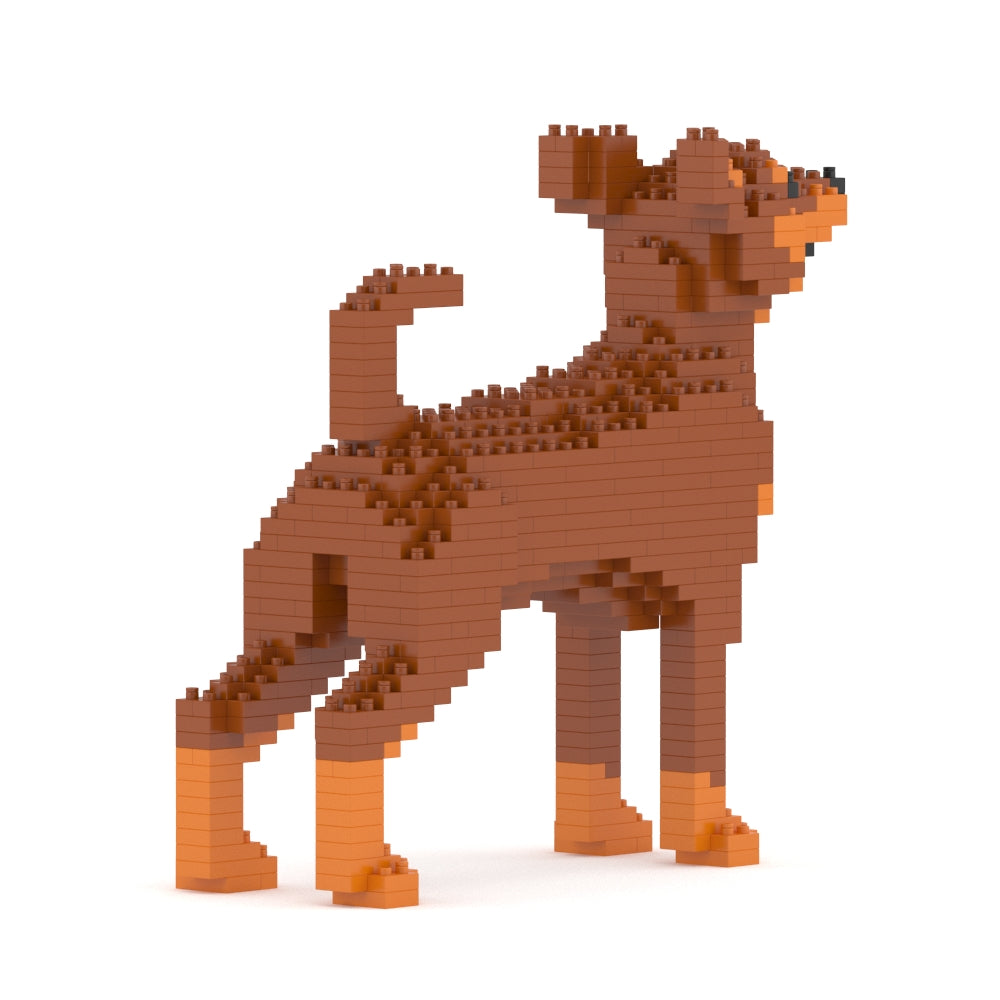 Pinscher miniatura 01-M02