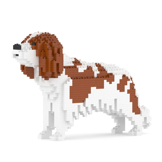 Cavalier King Charles Spaniel 01-M01