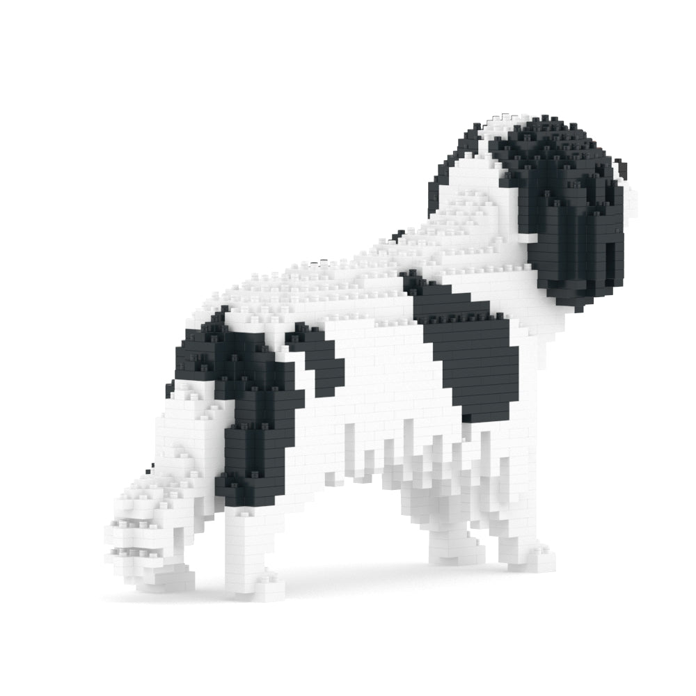 Cavalier King Charles Spaniel 01-M02