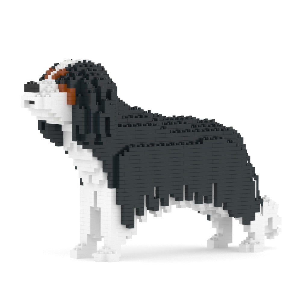 Cavalier King Charles Spaniel 01-M03