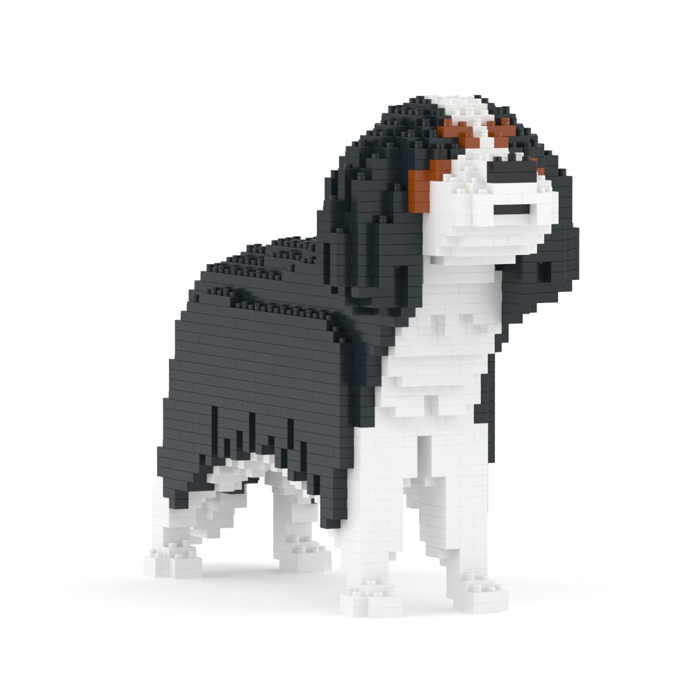 Cavalier King Charles Spaniel 01-M03