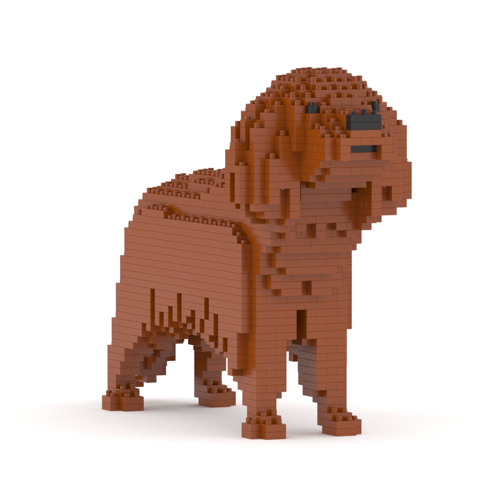 Cavalier King Charles Spaniel 01-M05