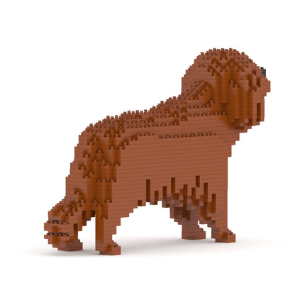 Cavalier King Charles Spaniel 01-M05