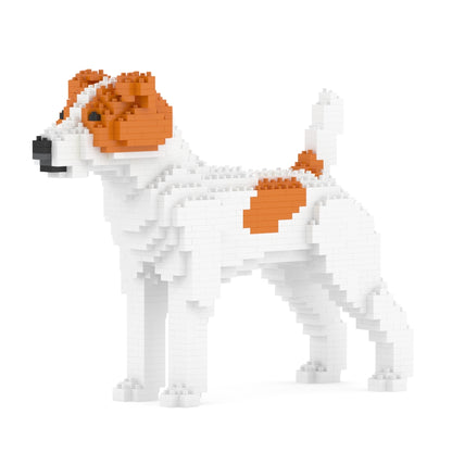 Jack Russell Terrier 01-M01