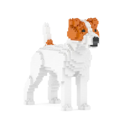 Jack Russell Terrier 01-M01