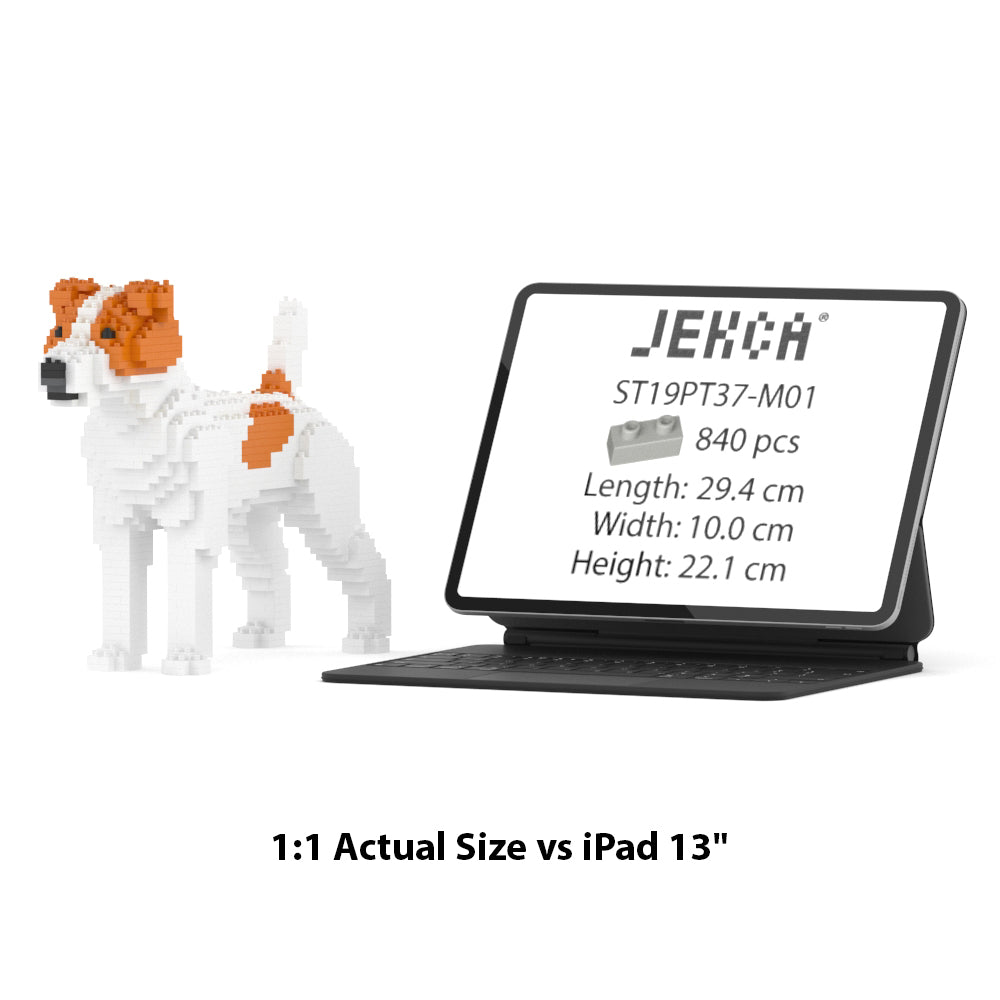 Jack Russell Terrier – JEKCA US