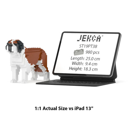 St. Bernard 01