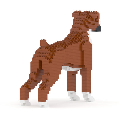 Boxer 01-M01
