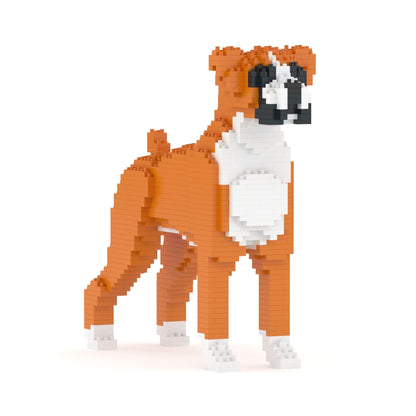 Boxer 01-M02
