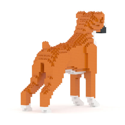 Boxer 01-M02