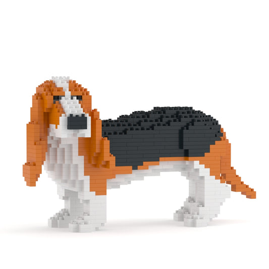 Basset Hound 01-M01