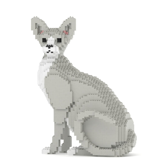 Sphynx Cat 01