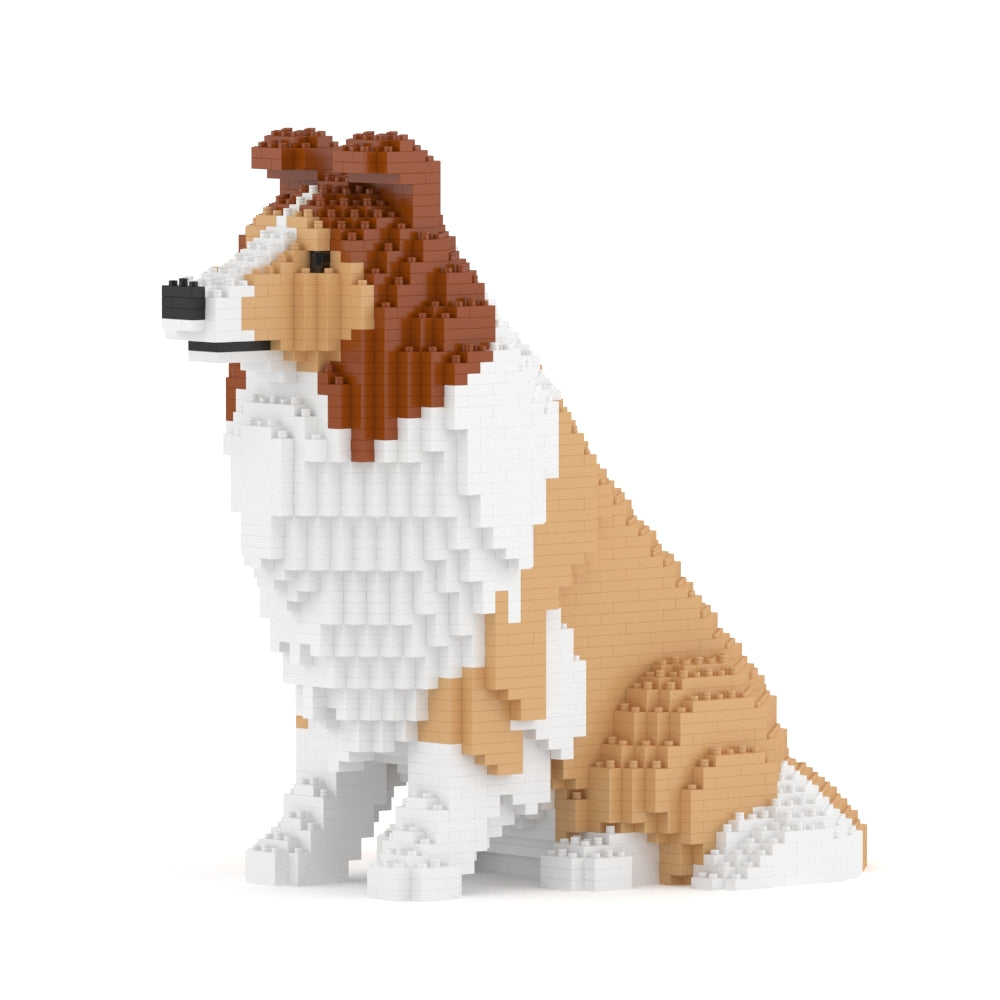 Shetland Sheepdog – JEKCA US