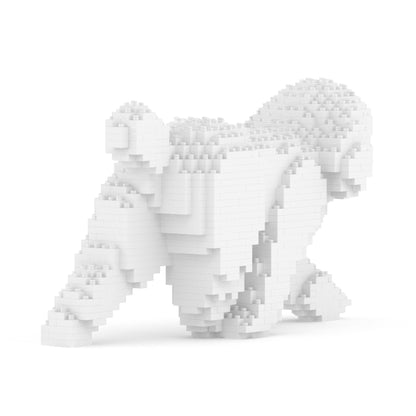 Caniche nain 02-M01