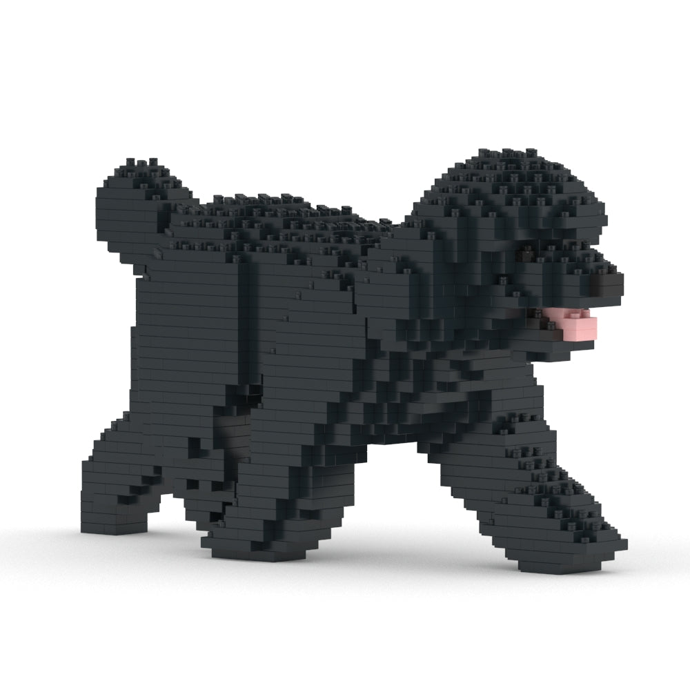 Caniche Toy 02-M02