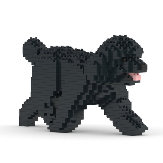 Caniche Toy 02-M02