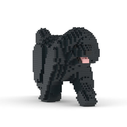 Caniche Toy 02-M02