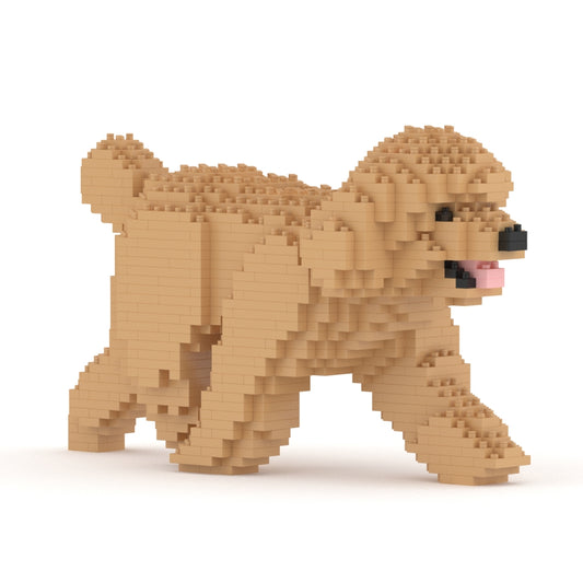Caniche Toy 02-M03