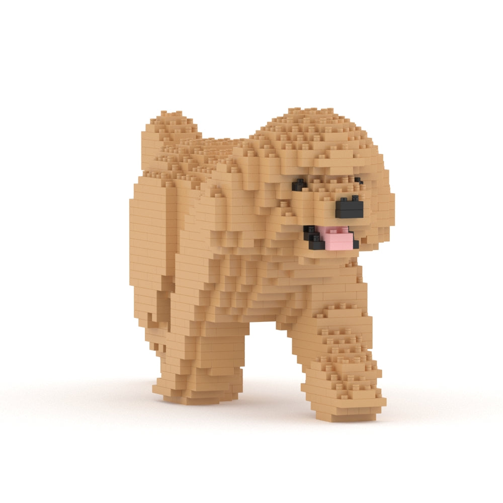 Caniche Toy 02-M03