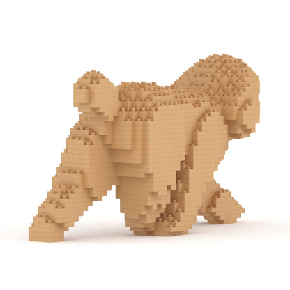 Caniche Toy 02-M03