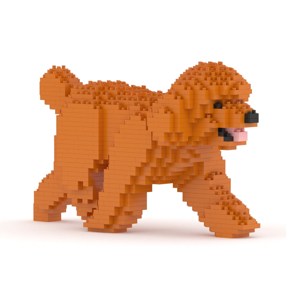 Caniche Toy 02-M04