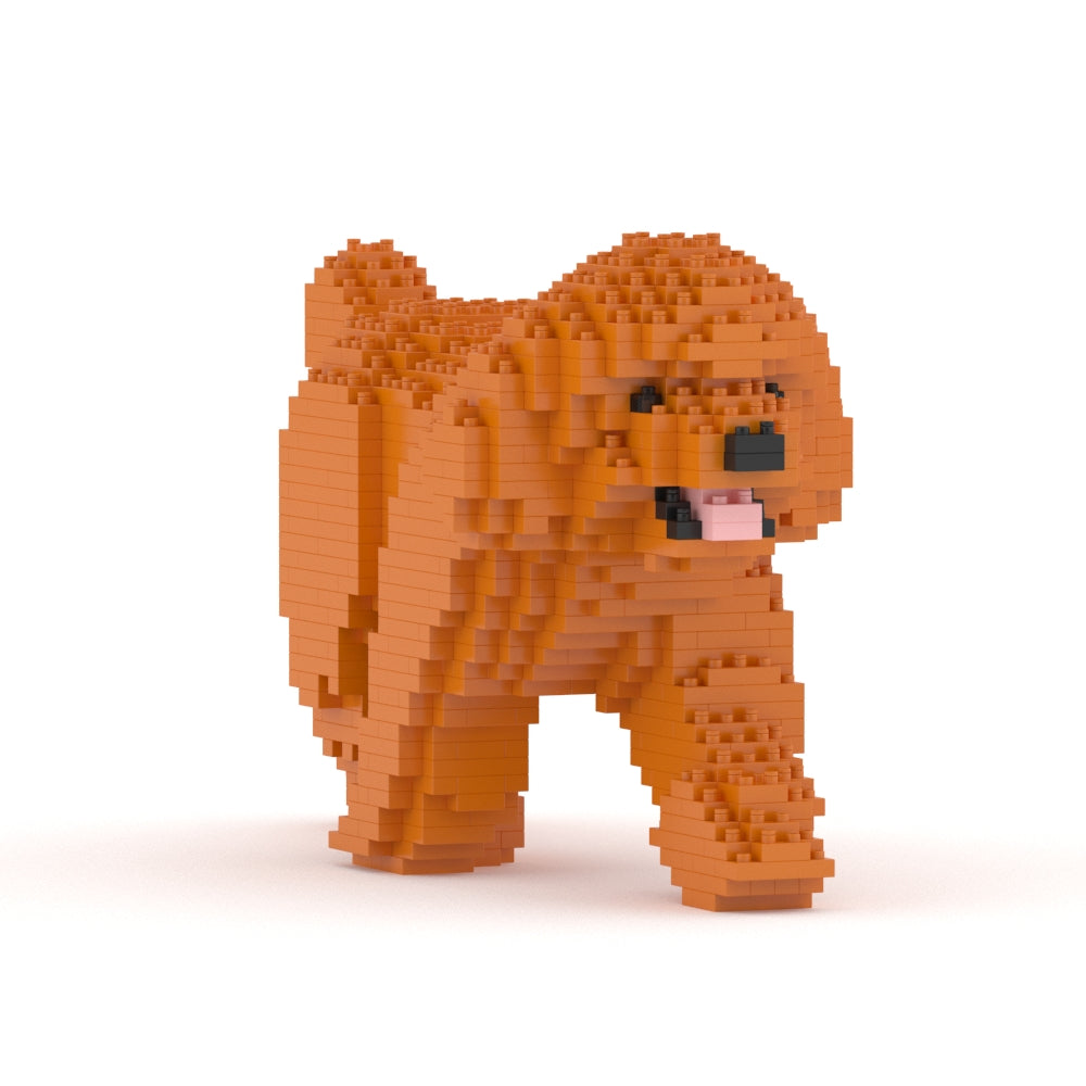 Caniche Toy 02-M04