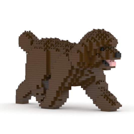 Caniche Toy 02-M05