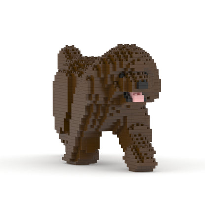 Caniche Toy 02-M05