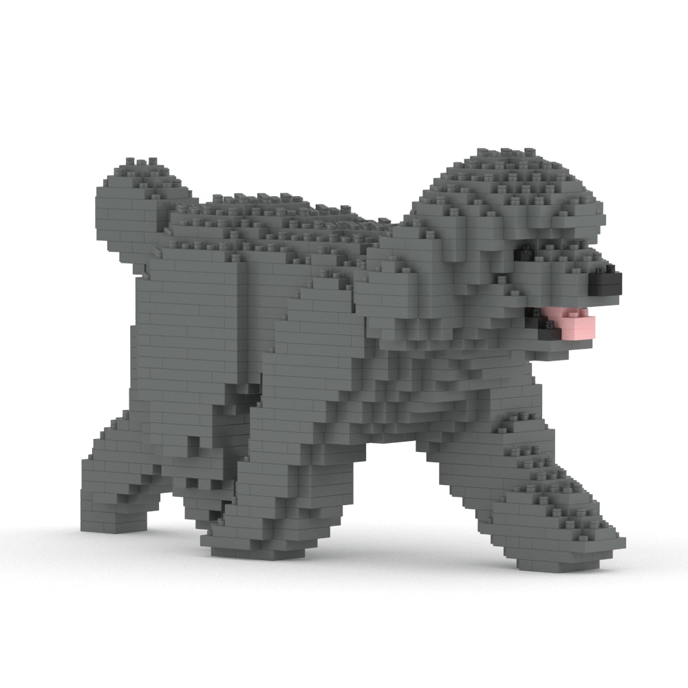 Caniche miniatura 02-M06