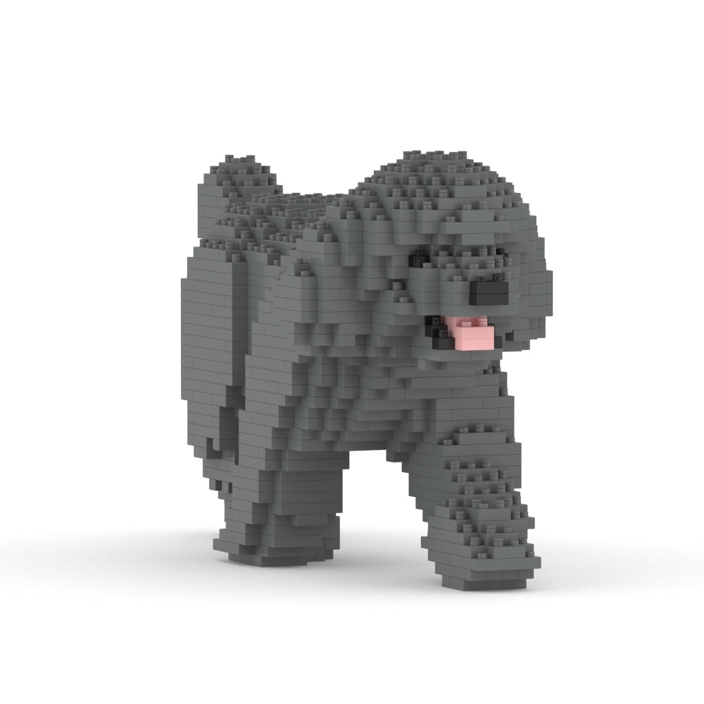 Caniche miniatura 02-M06