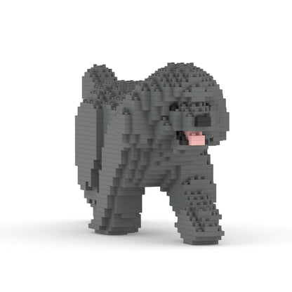 Caniche miniatura 02-M06