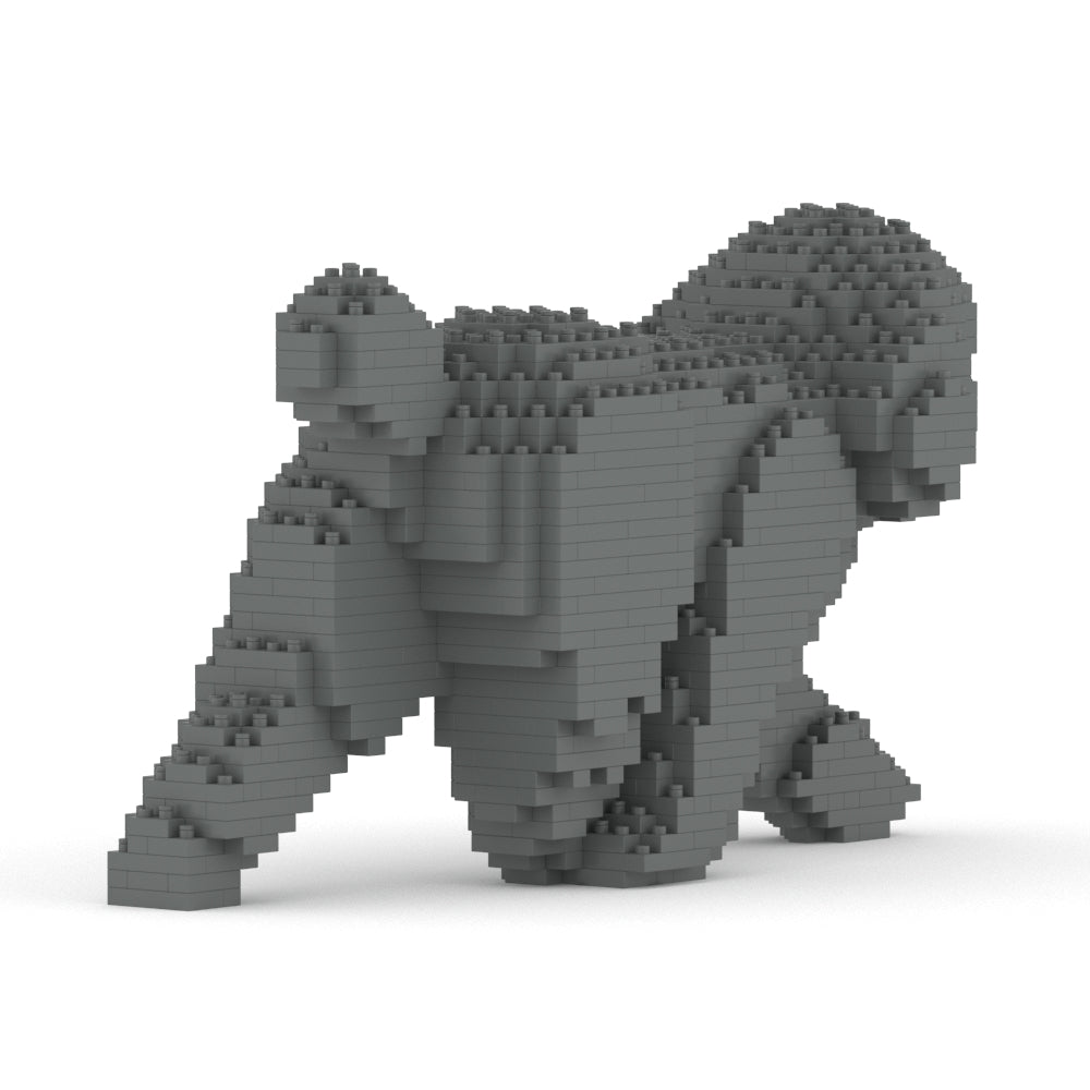 Caniche miniatura 02-M06
