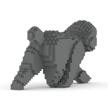 Caniche miniatura 02-M06